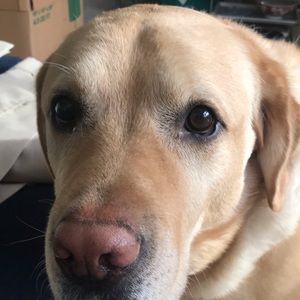 Meet your Posher, Jack